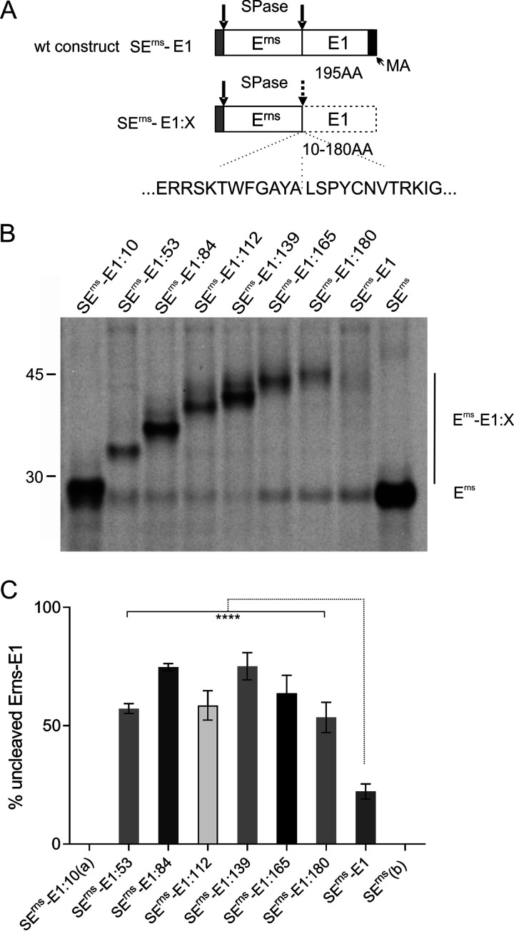 FIG 1