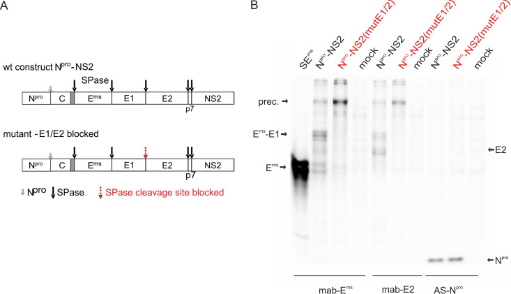 FIG 8