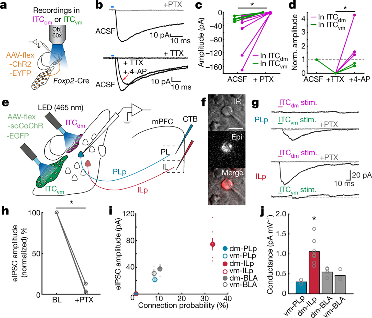 Fig. 4 |