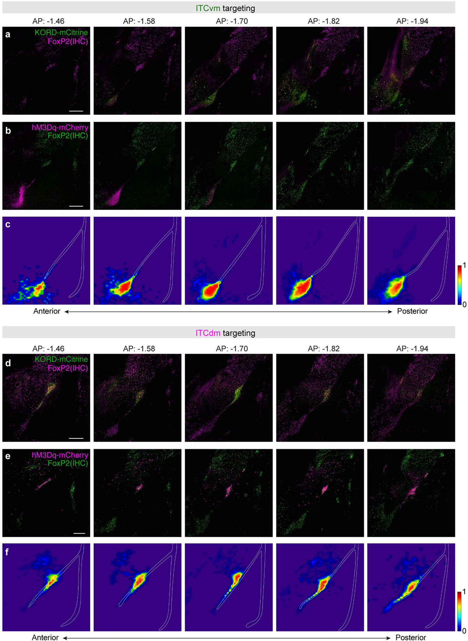 Extended Data Fig. 8 |