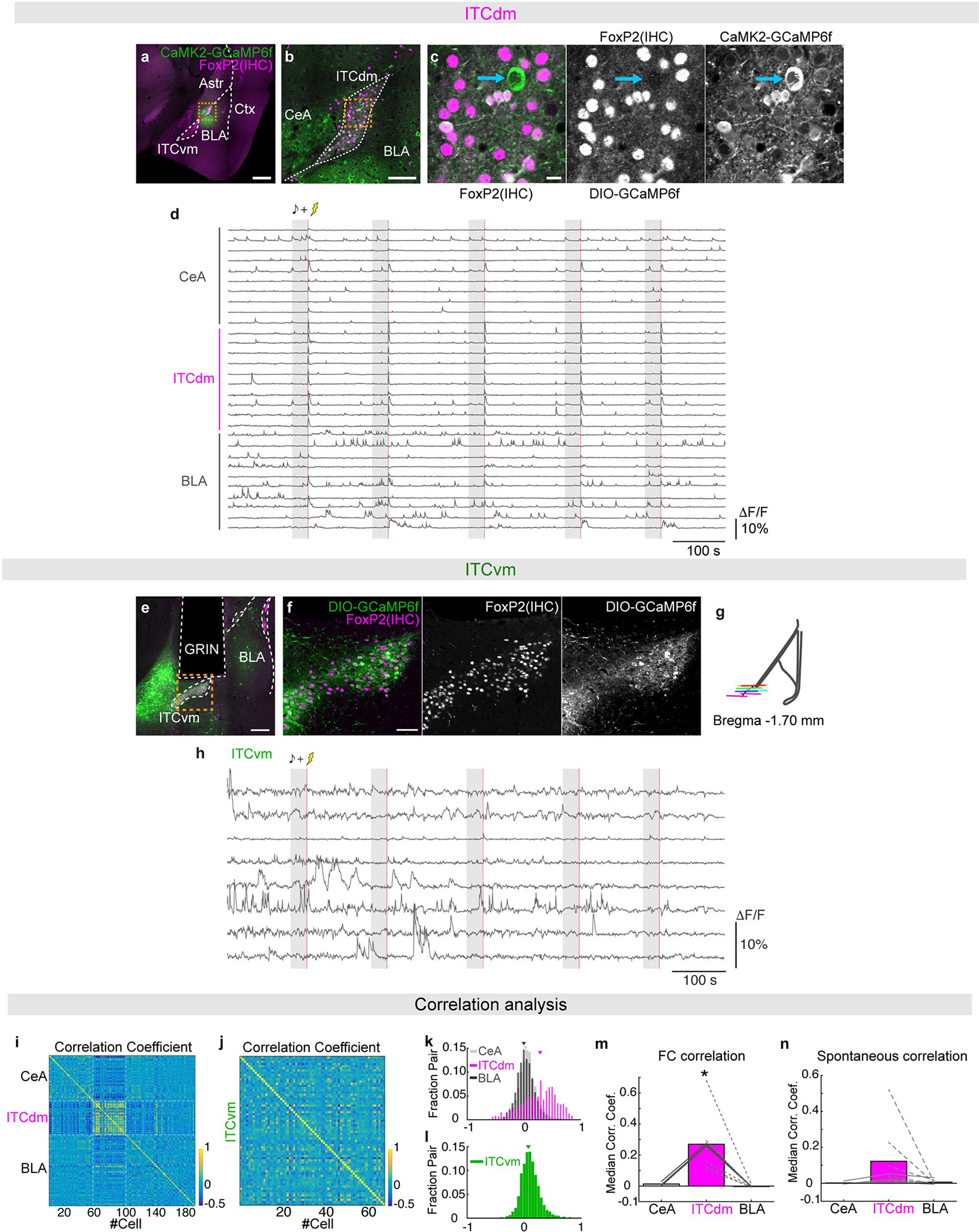 Extended Data Fig. 2 |