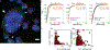 Extended Data Fig. 6|