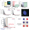 Extended Data Fig. 7|