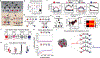 Fig. 4|