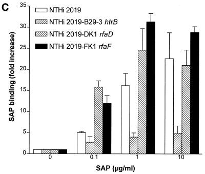 FIG. 1