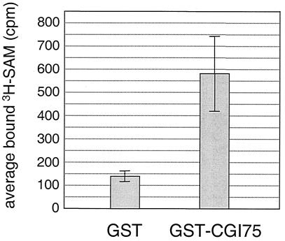 FIG. 7.