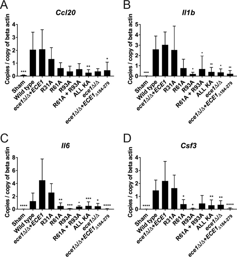 FIG 3 