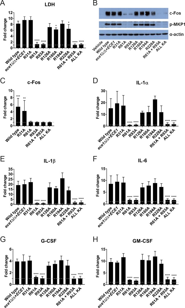 FIG 1 