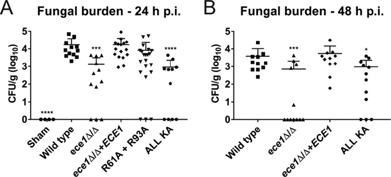 FIG 4 