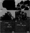 Fig. 3