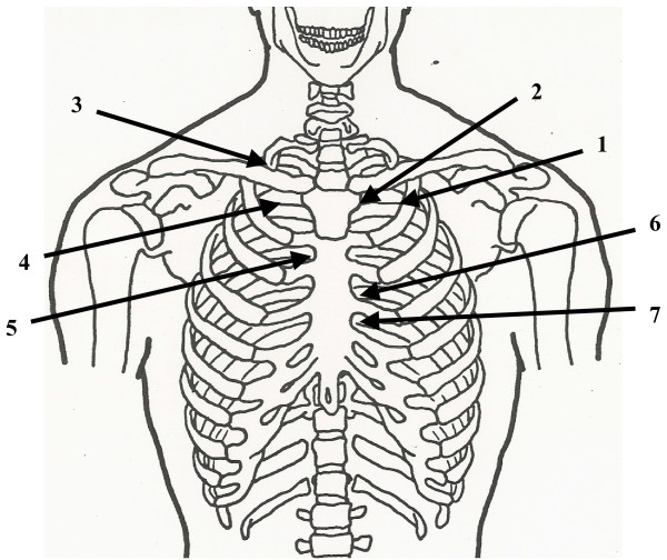 Figure 21