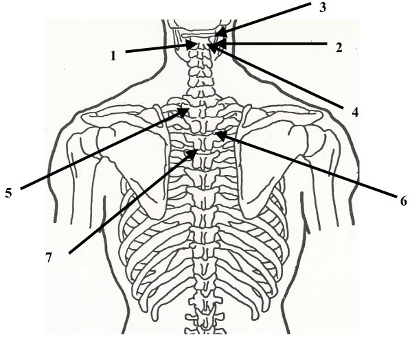 Figure 22