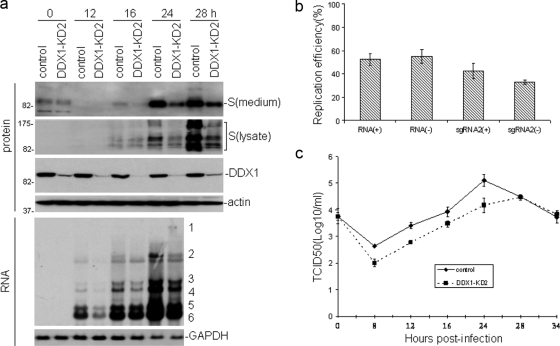 FIG. 6.