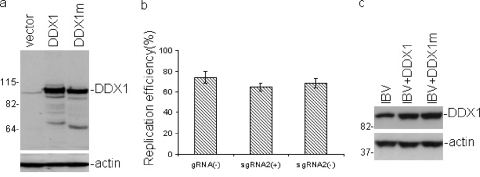 FIG. 7.