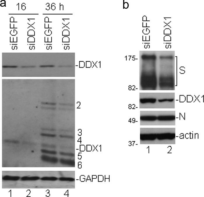 FIG. 5.