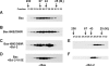 FIGURE 10.