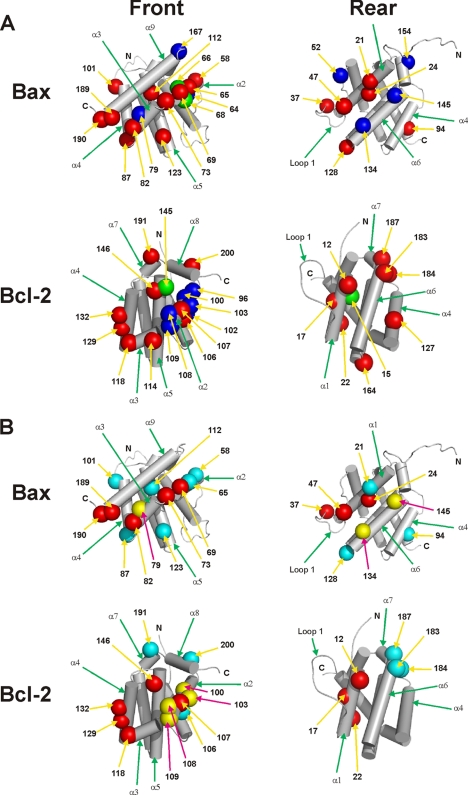 FIGURE 7.