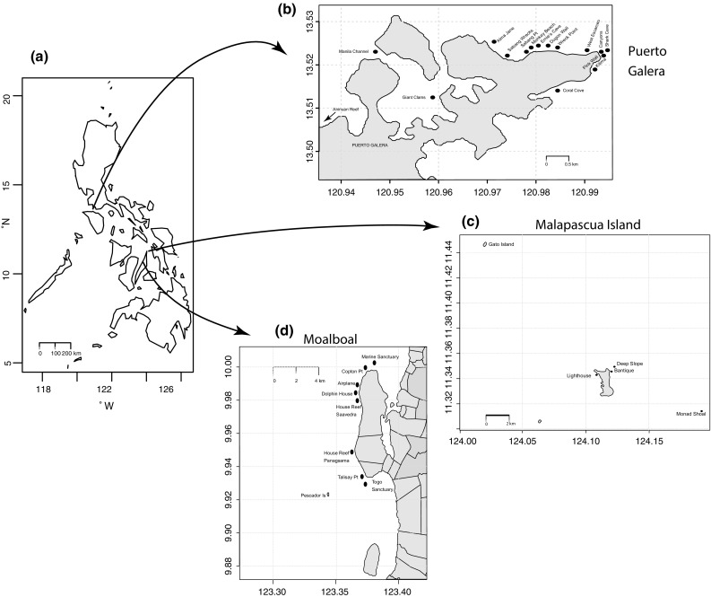 Fig. 1
