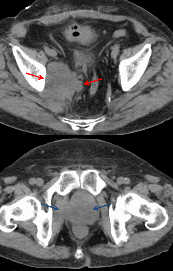 Fig. 5