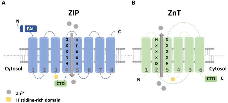 Fig. 1