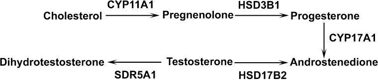 FIG. 1. 