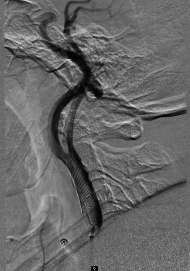 Figure 5
