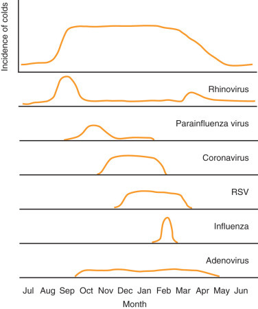 FIGURE 26.1