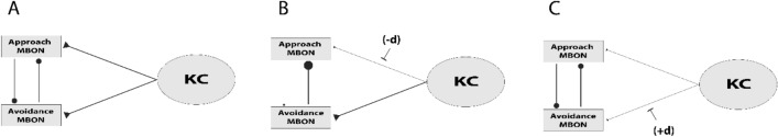 Fig. 11