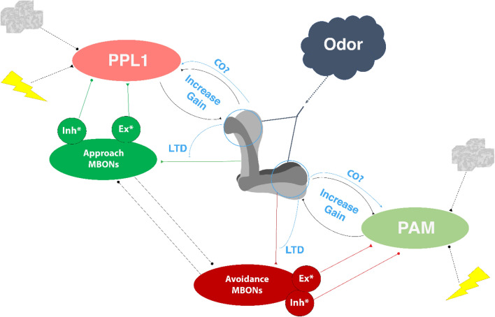Fig. 3