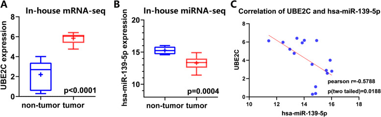 Fig. 11