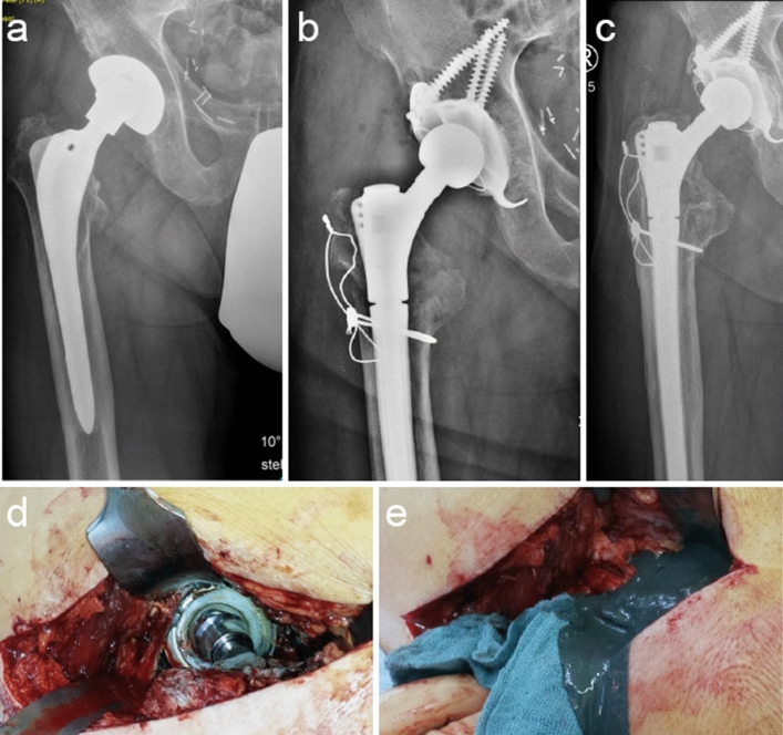 Fig. 6