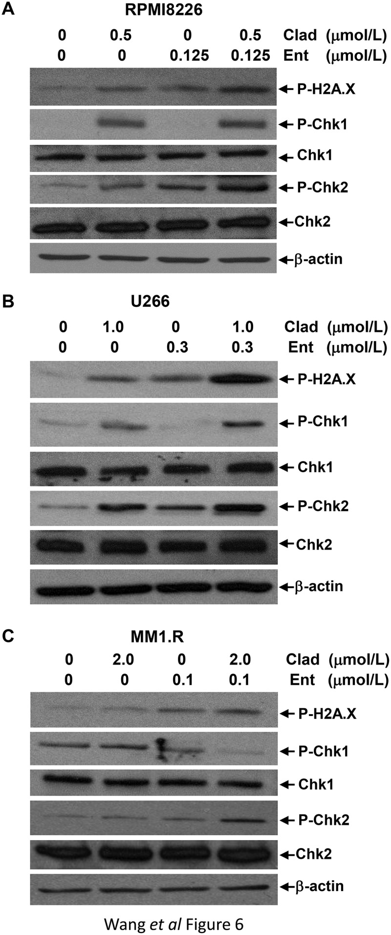 Figure 6.