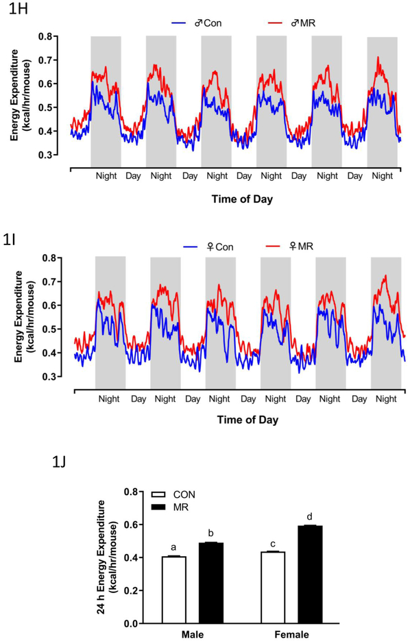 Figure 1 –