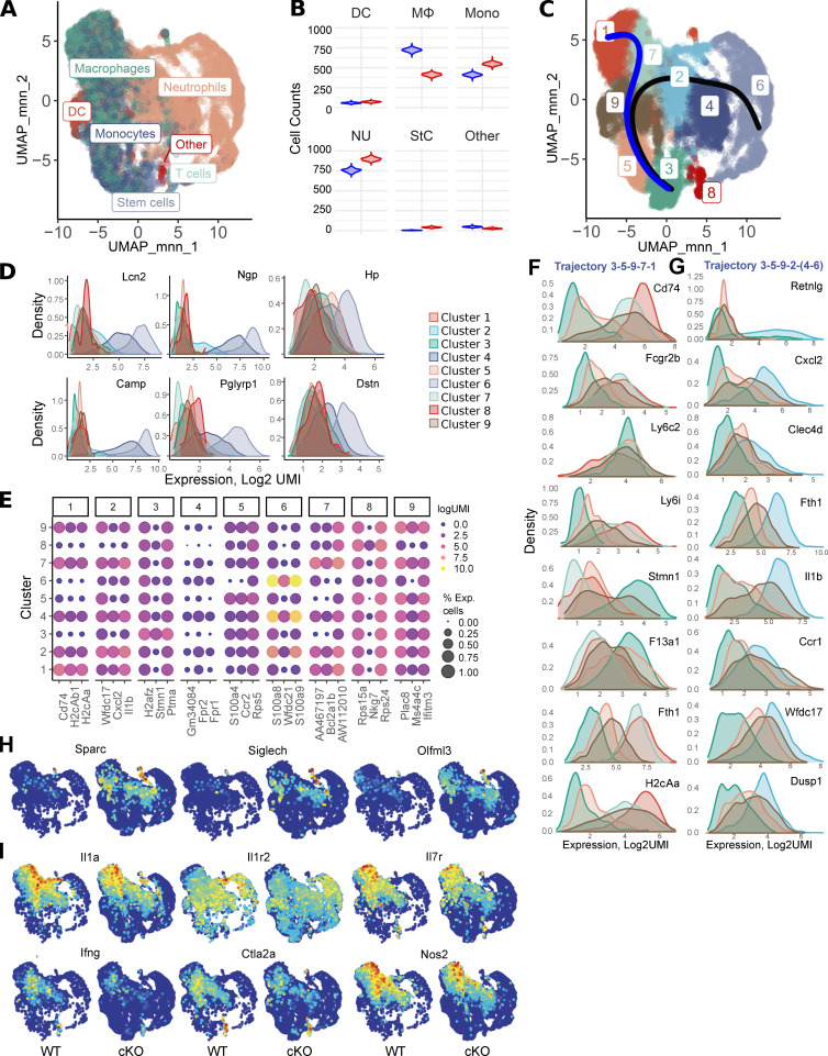 graphic file with name JEM_2019238611162020C_Fig6.jpg