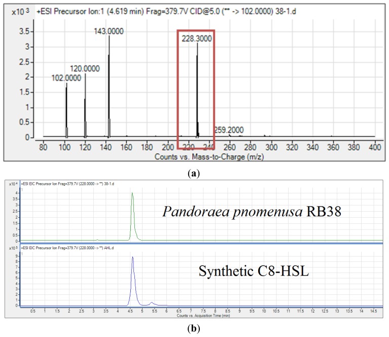 Figure 5.