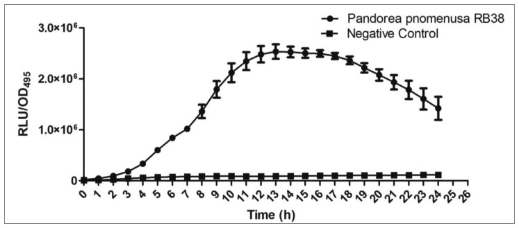 Figure 4.