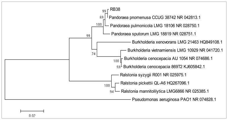 Figure 2.