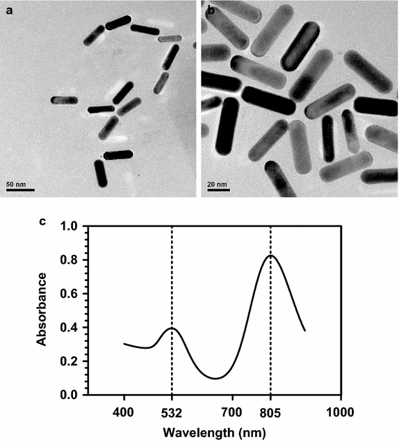 Fig. 1