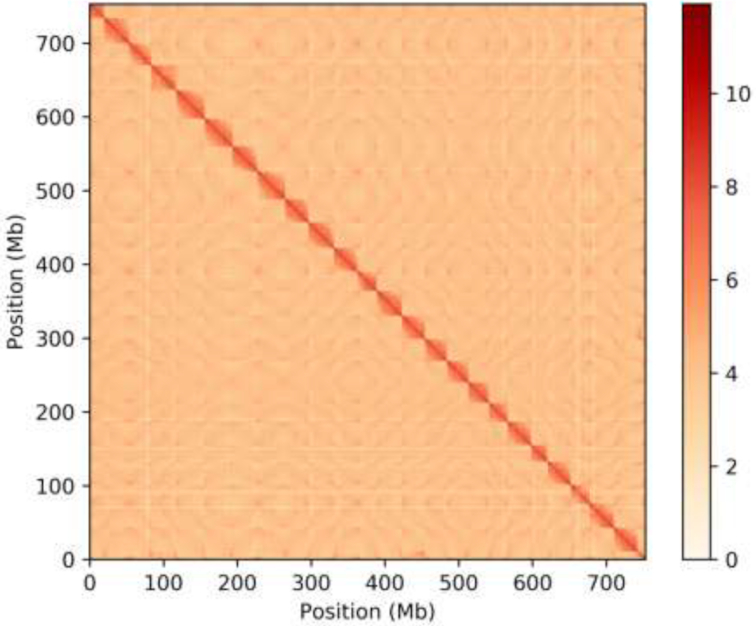 Figure 3: