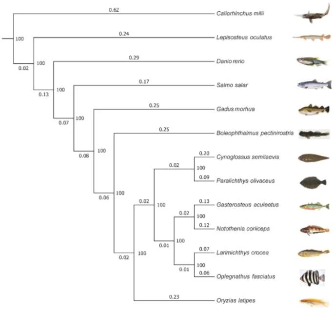 Figure 4: