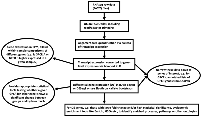 Figure 2: