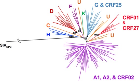 FIG 2