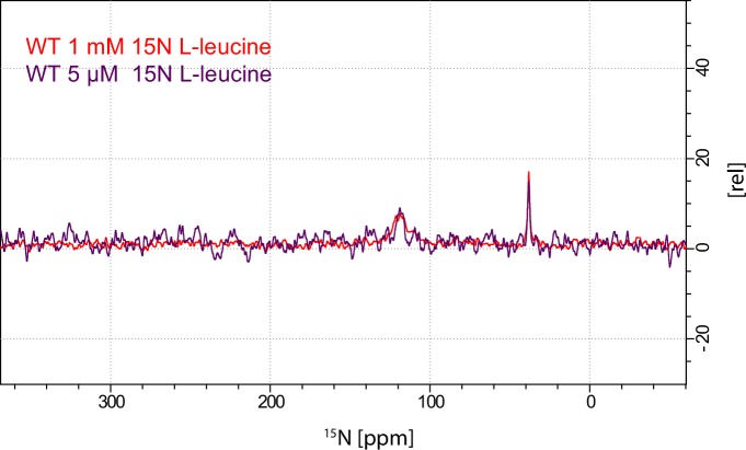 Figure 2—figure supplement 1.