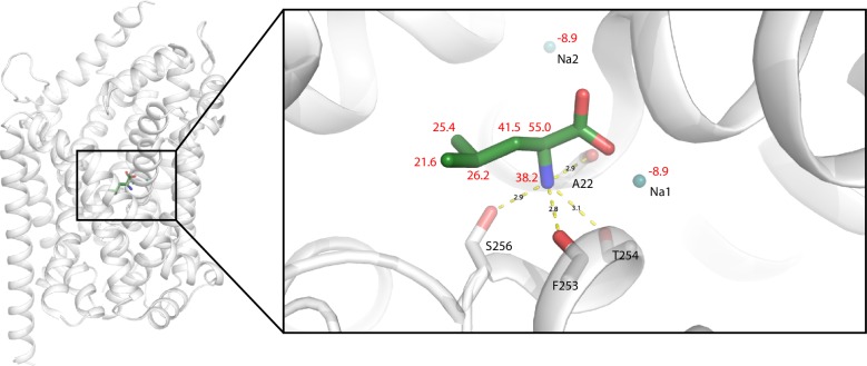 Figure 2—figure supplement 4.