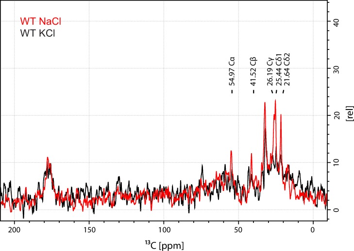 Figure 1—figure supplement 6.