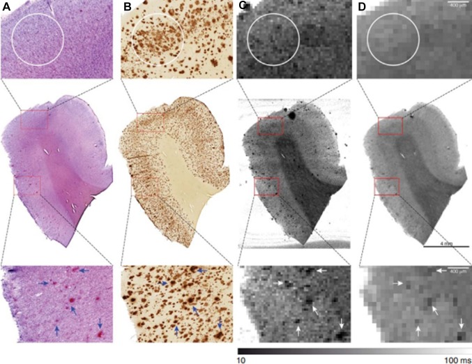 Fig. 3