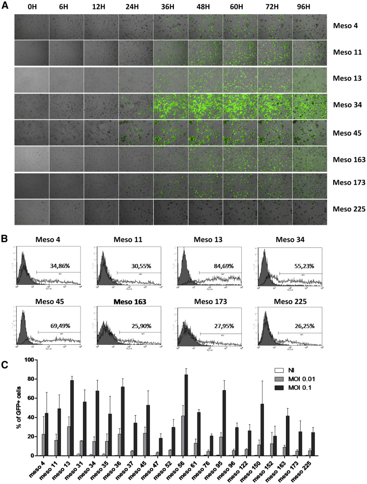 Figure 1