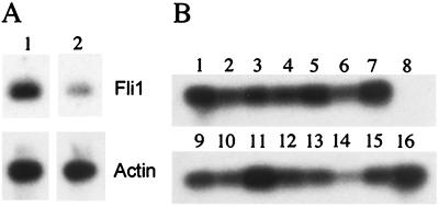 FIG. 6