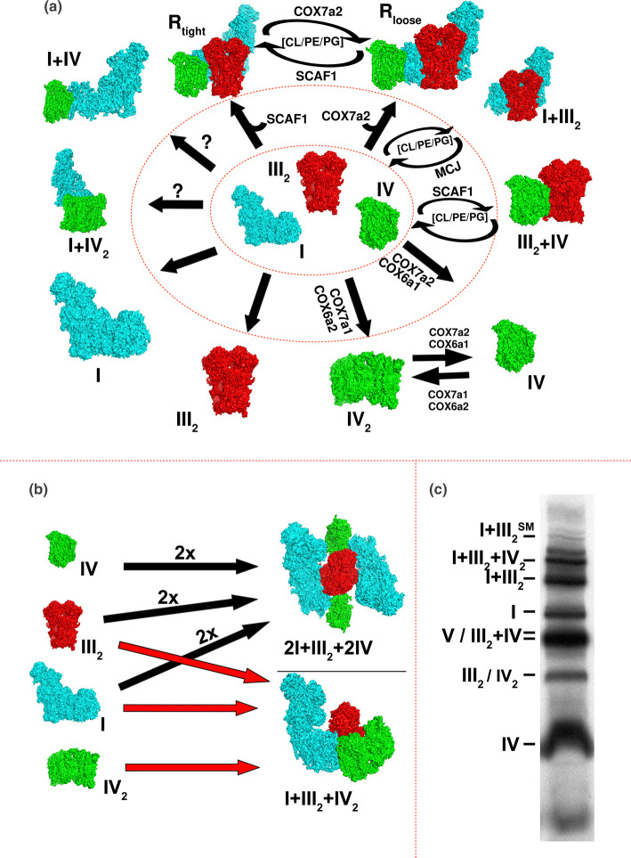 Figure 2.