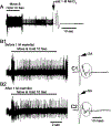 Figure 13: